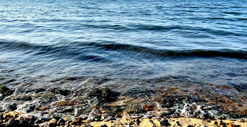 kentish-coastline-summertime-calm-sea