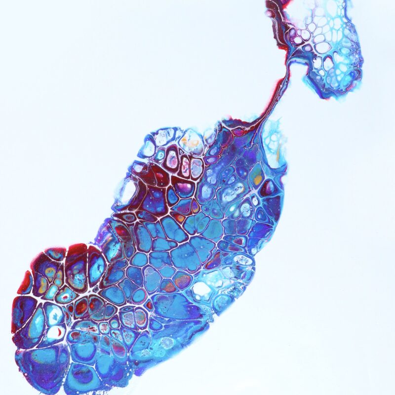 ink-representing-mast-cells