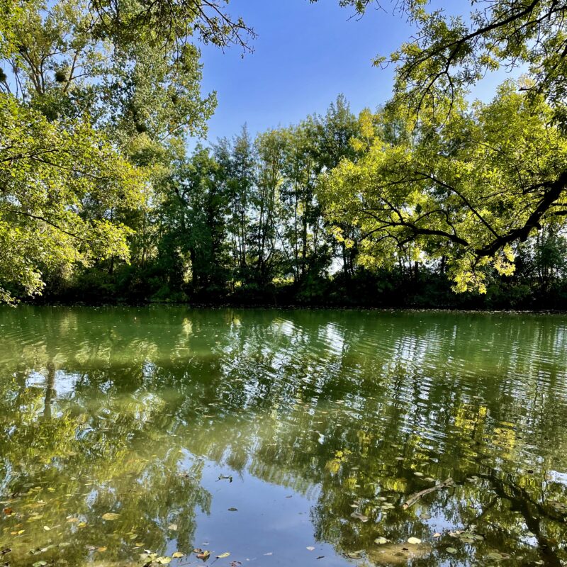 wild-swimming-charente-river-les-petits-essards