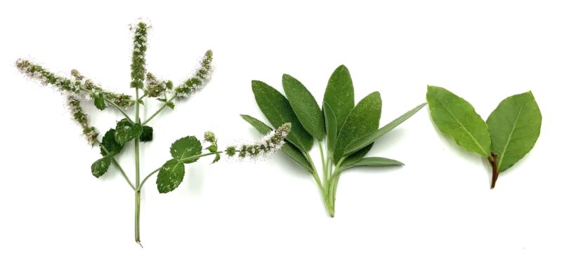 trio-of-herbs-sage-bay-leaves