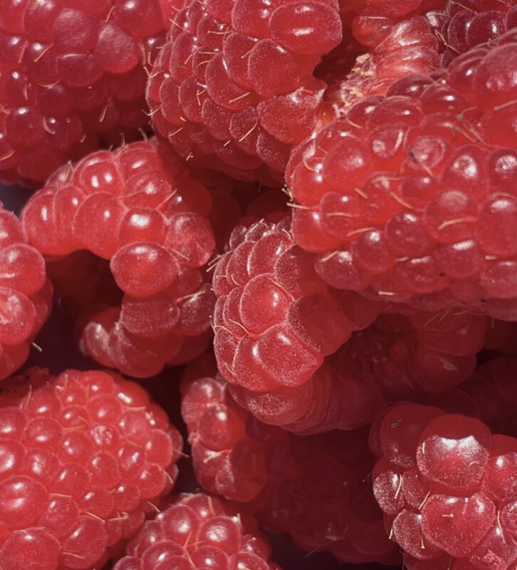 close-up-raspberries