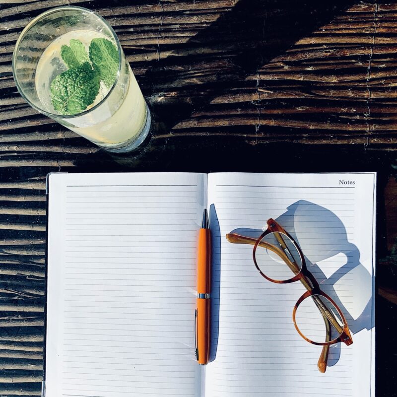 diary-pen-glasses-lemon-mint-water-research-writing-outside-cool-filter